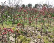 南汇天气预报一周