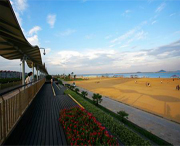 金山天气预报一周