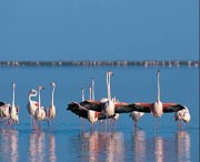 静海天气预报一周