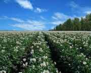 克山天气预报10天