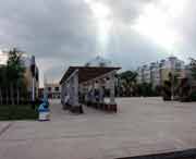 青冈天气预报10天