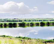 肇州天气预报10天