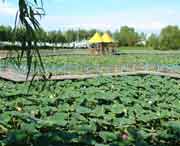 德惠天气预报40天