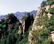 开原天气预报40天