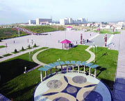 康保天气预报10天