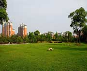 大宁天气预报40天