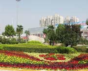 长安天气预报10天