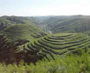 米脂天气预报10天