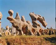 费县天气预报一周