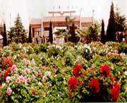 荷泽天气预报一周