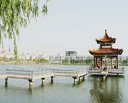 曹县天气预报一周