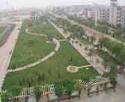 无棣天气预报一周