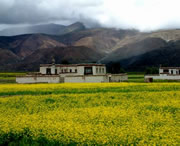 拉孜天气预报一周