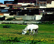 山南天气预报一周