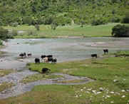 加查天气预报一周