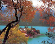 林芝天气预报一周