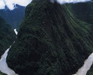 米林天气预报一周