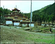 洛隆天气预报10天