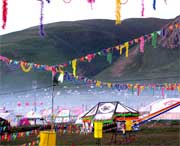 曲麻莱天气预报40天