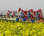 庆阳天气预报10天