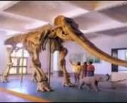 合水天气预报15天