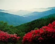 正宁天气预报15天