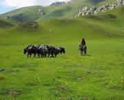 甘南州天气预报一周