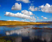 碌曲天气预报10天