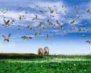 银川天气预报40天