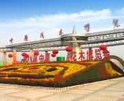 鄢陵天气预报10天