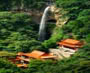 桐柏天气预报10天