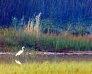 孟津天气预报10天