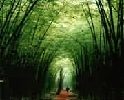 洛宁天气预报10天