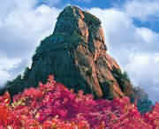 汝阳天气预报10天