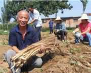 温县天气预报10天