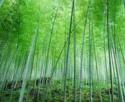 宜兴天气预报10天