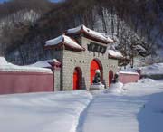 新洲天气预报10天