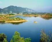 阳新天气预报10天