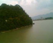 桐庐天气预报10天