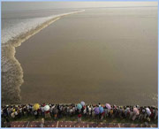 海宁天气预报10天