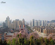 慈溪天气预报40天