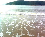 象山天气预报10天