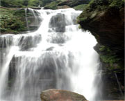 天台天气预报10天