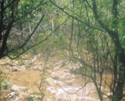 开化天气预报10天