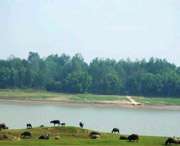 枞阳天气预报40天