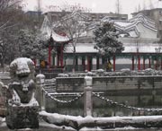 太和天气预报10天