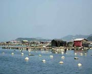 连江天气预报一周