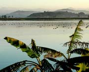 柘荣天气预报一周