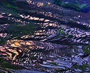 尤溪天气预报一周