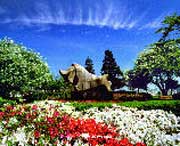 庐山天气预报10天